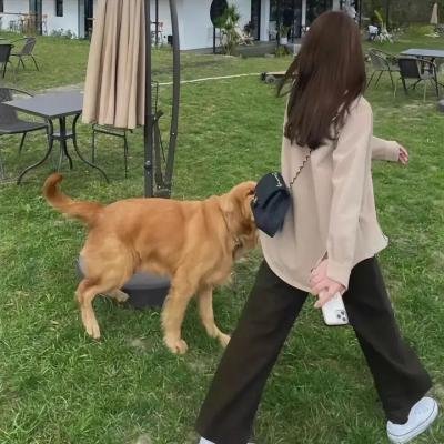 伊奥船长